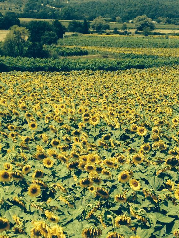 Tre Girasoli Monte San Savino Pokoj fotografie