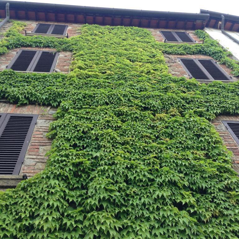 Tre Girasoli Monte San Savino Exteriér fotografie