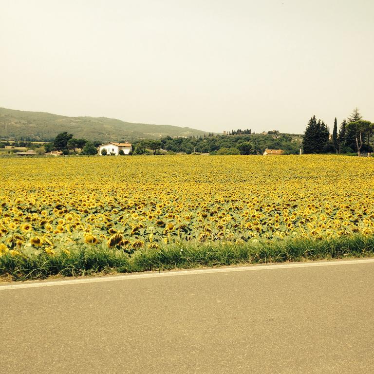 Tre Girasoli Monte San Savino Exteriér fotografie